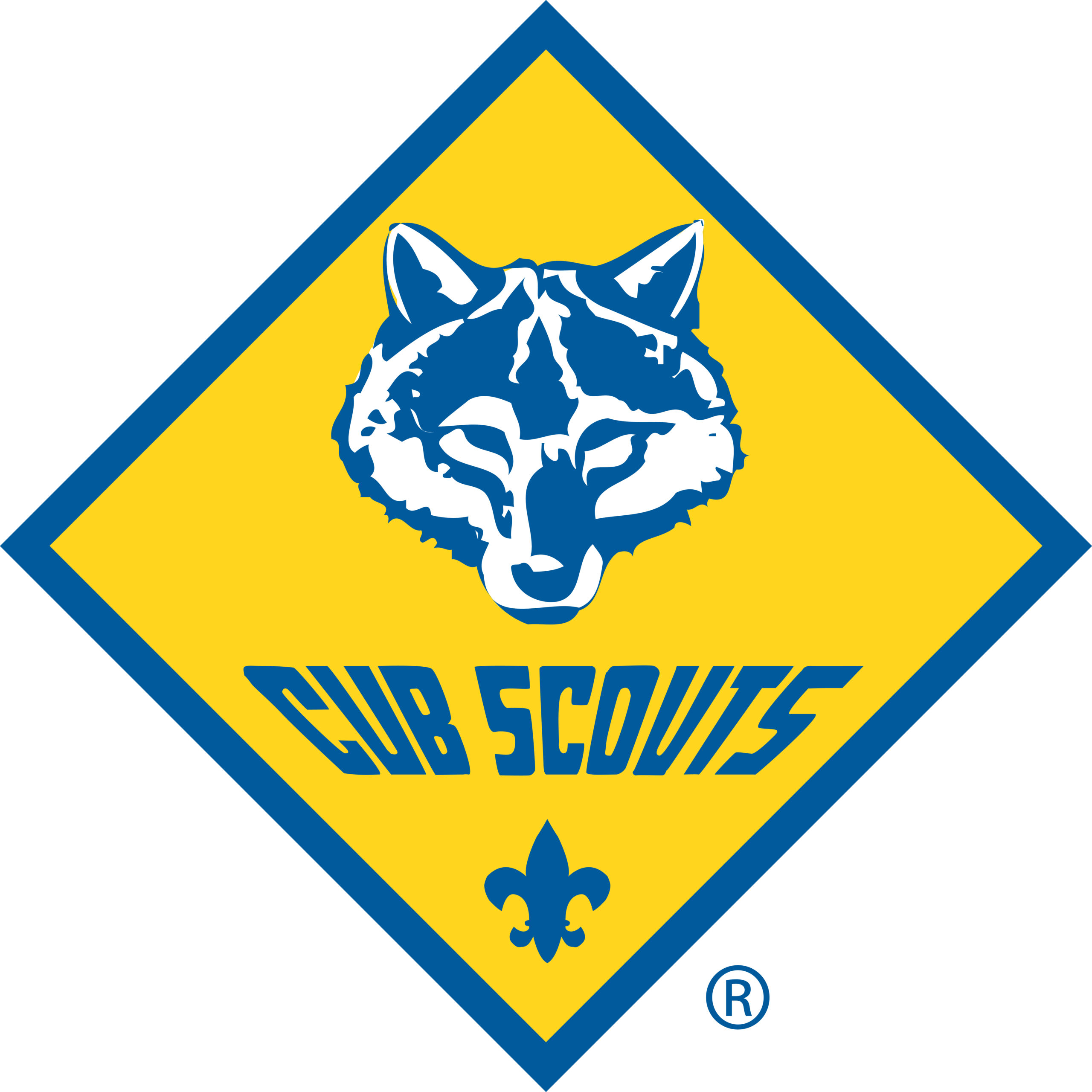 Cub Scout Program And Camping Baden Powell Council